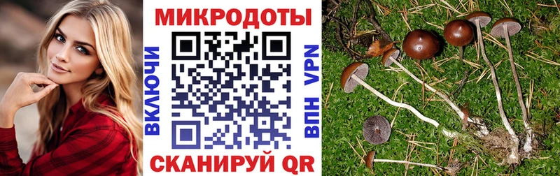 Купить закладки  Камышлов  Галлюциногенные грибы MAGIC MUSHROOMS 